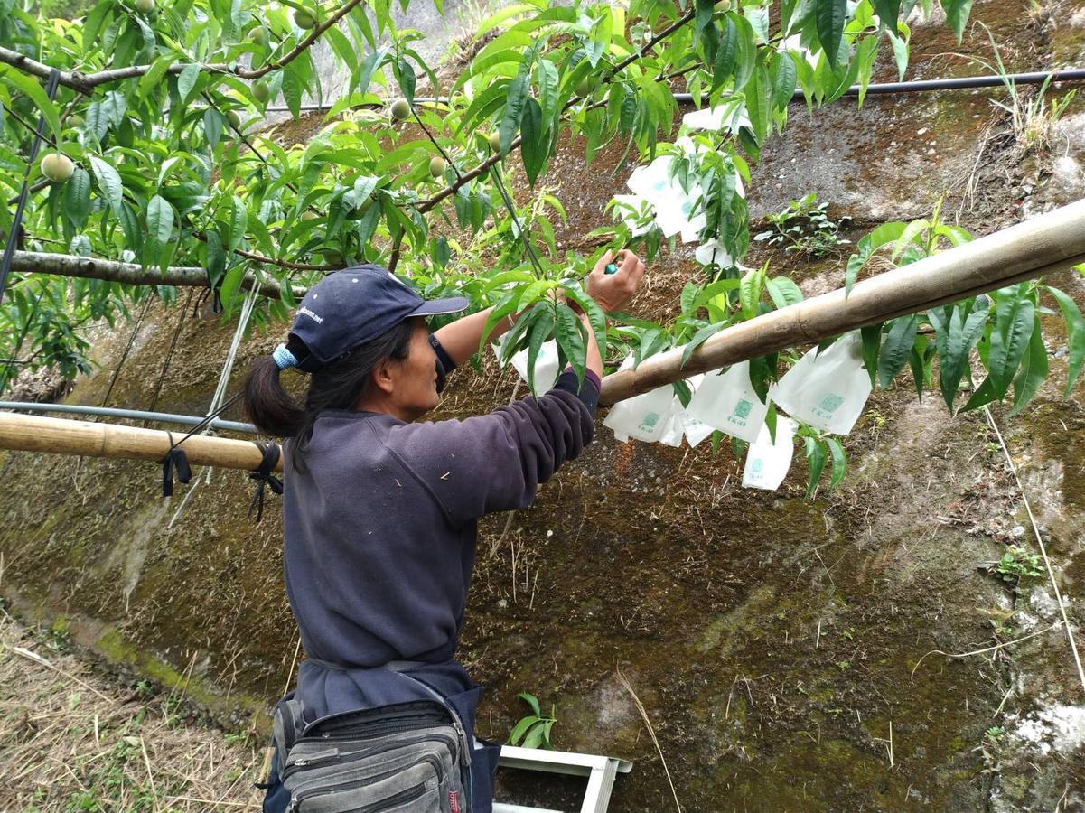 La La Shan 5.5Knong Zhuang Hualing Eksteriør billede